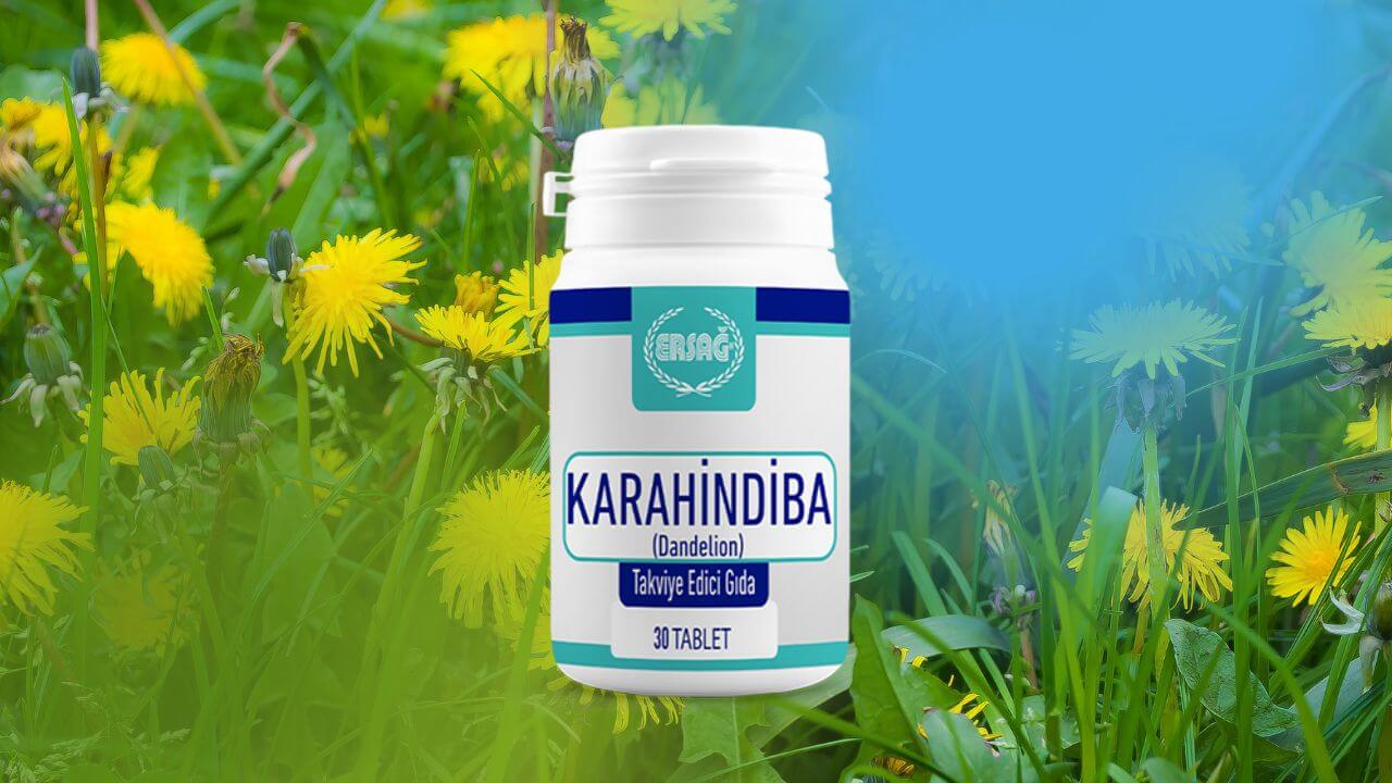 Эрсаг экстракт одуванчика