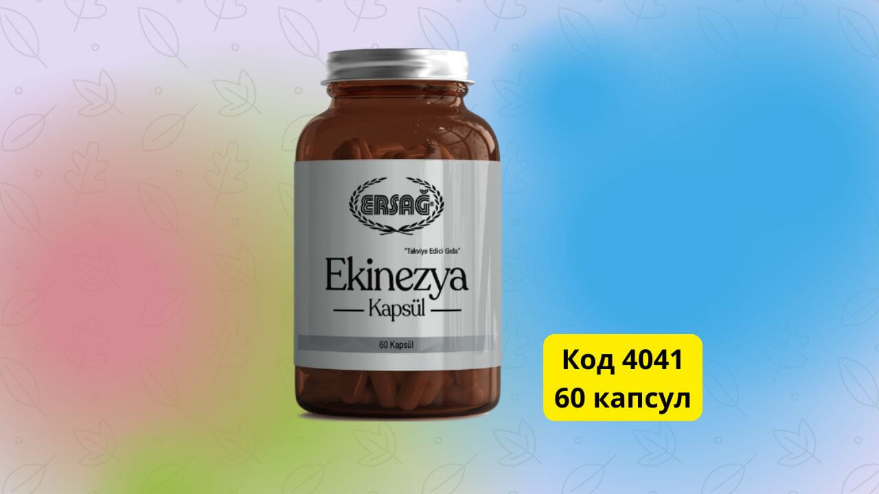 эхинацея эрсаг